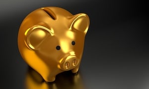 Orange County    White Collar Crime Defense Attorney for Fraud a Solid Gold Piggy Bank on a Black Surface